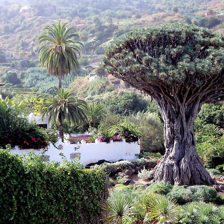 イコー・デ・ロス・ビノスEl Rincon With Teide View IIIアパートメント エクステリア 写真